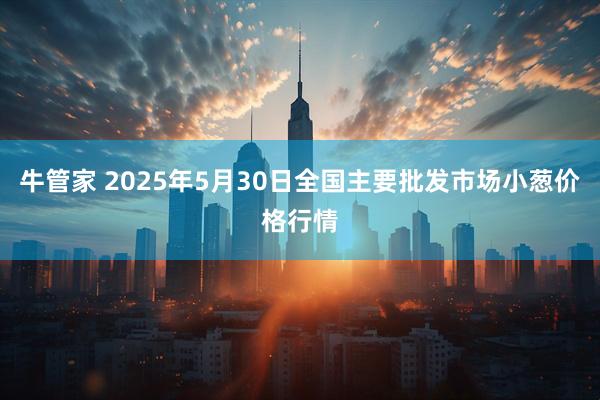 牛管家 2025年5月30日全国主要批发市场小葱价格行情