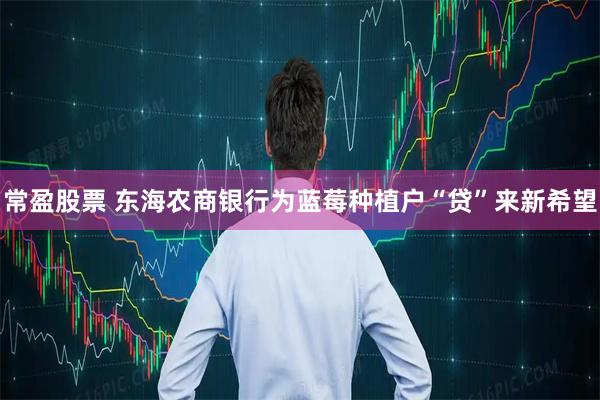 常盈股票 东海农商银行为蓝莓种植户“贷”来新希望