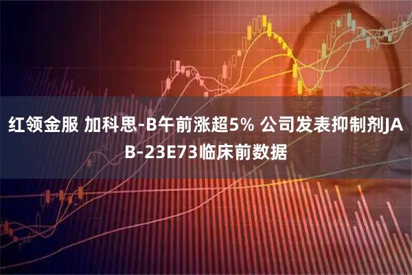 红领金服 加科思-B午前涨超5% 公司发表抑制剂JAB-23E73临床前数据