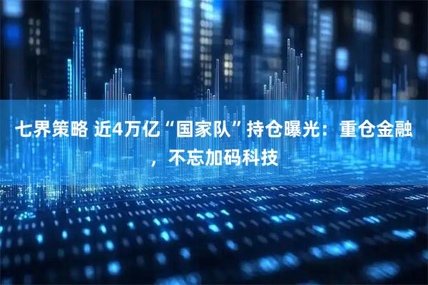 七界策略 近4万亿“国家队”持仓曝光：重仓金融，不忘加码科技