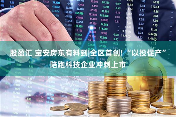 股盈汇 宝安房东有料到|全区首创! “以投促产”陪跑科技企业冲刺上市