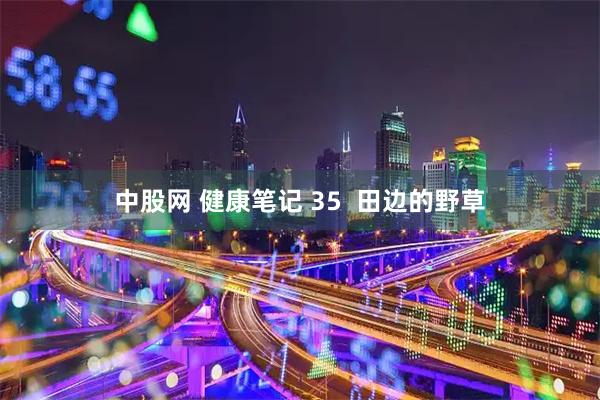 中股网 健康笔记 35  田边的野草