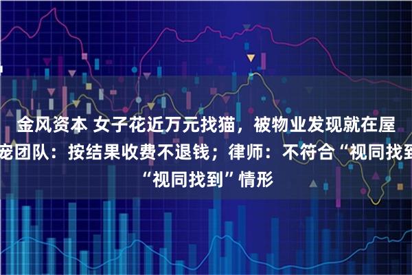 金风资本 女子花近万元找猫，被物业发现就在屋内！寻宠团队：按结果收费不退钱；律师：不符合“视同找到”情形