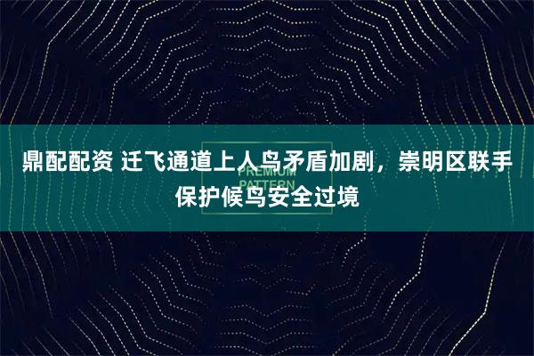 鼎配配资 迁飞通道上人鸟矛盾加剧，崇明区联手保护候鸟安全过境
