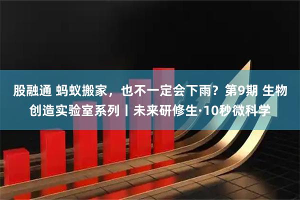 股融通 蚂蚁搬家，也不一定会下雨？第9期 生物创造实验室系列丨未来研修生·10秒微科学