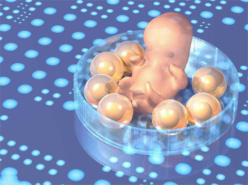 金华借卵试管助孕-河南不排队捐卵的医院名单]与2022年捐卵试管婴儿的条件和费用。